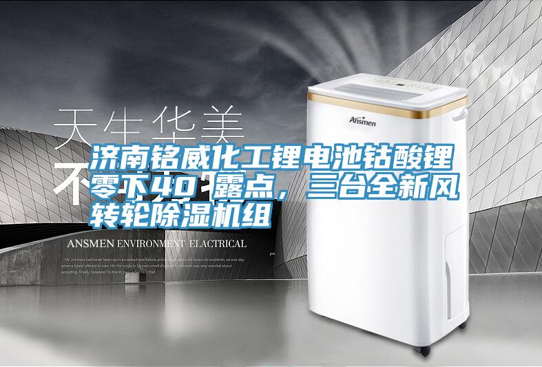 濟(jì)南銘威化工鋰電池鈷酸鋰零下40℃露點，三臺全新風(fēng)轉(zhuǎn)輪除濕機(jī)組
