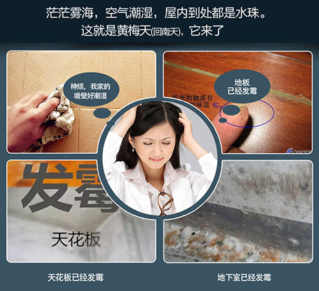 家庭別墅的地下室、衛(wèi)生間、儲物室等該如何除濕?