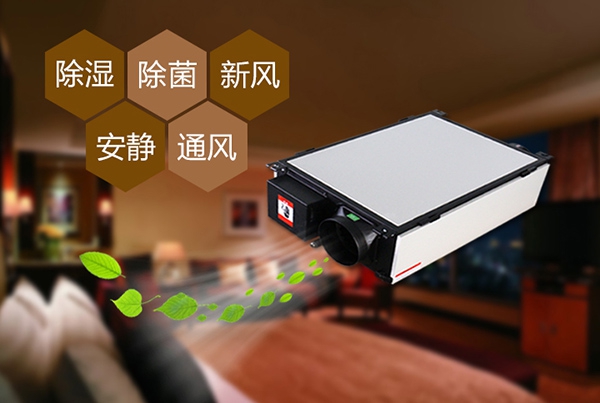 為什么冷庫除濕機會出現結霜的情況？