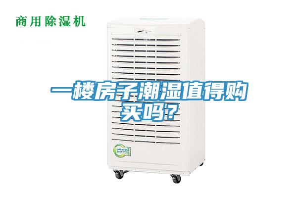 一樓房子潮濕值得購(gòu)買嗎？