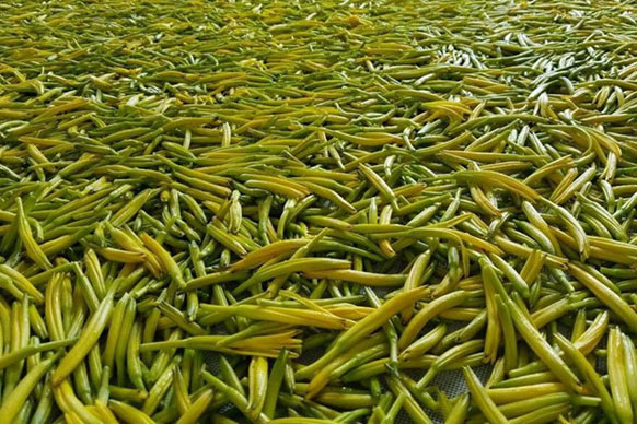 無硫金針菜烘干如何保持品相？不發黑？_除濕機廠家