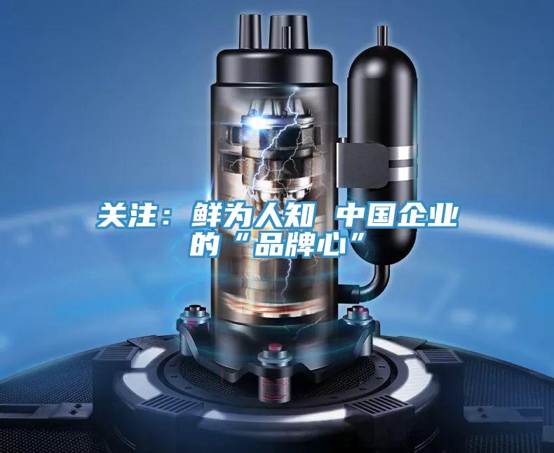 關(guān)注:鮮為人知 中國企業(yè)的“品牌心”
