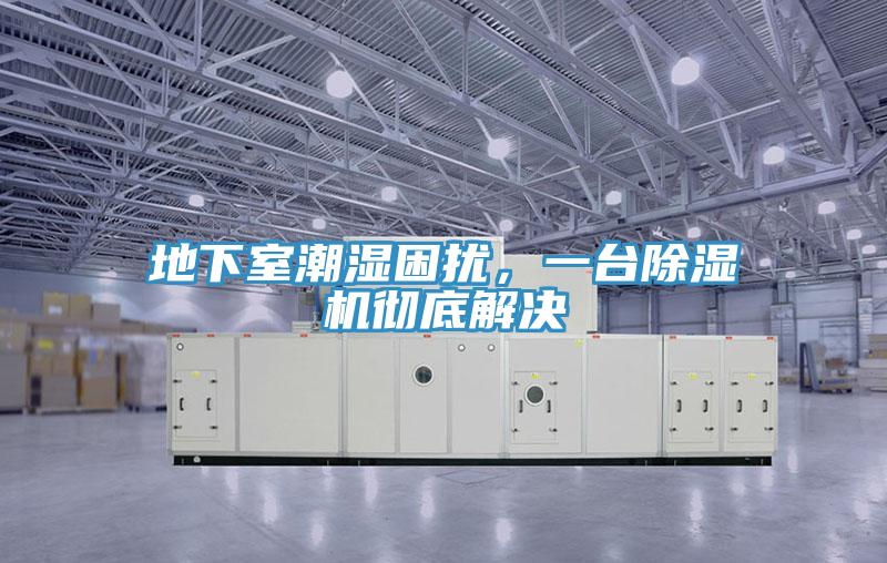 地下室潮濕困擾，一臺除濕機(jī)徹底解決