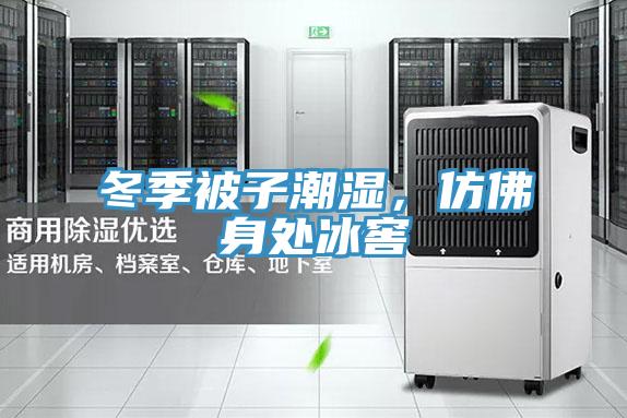 冬季被子潮濕,仿佛身處冰窖