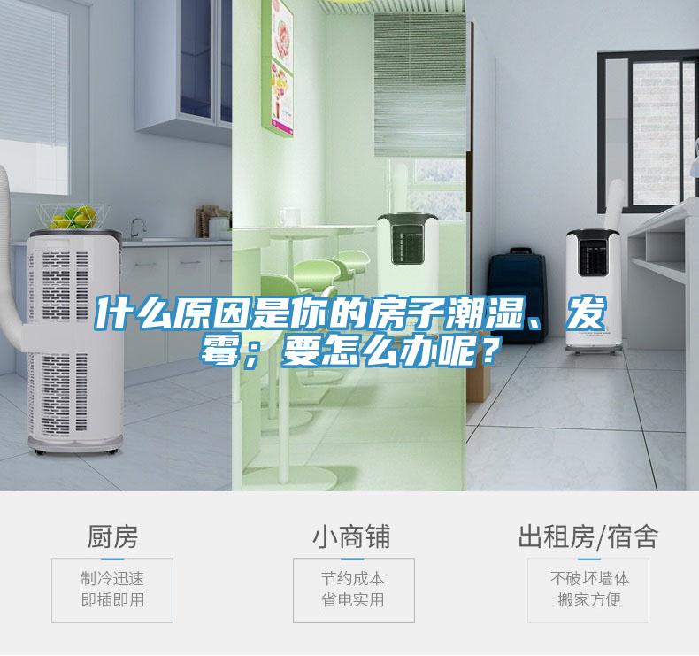 什么原因是你的房子潮濕、發霉;要怎么辦呢?