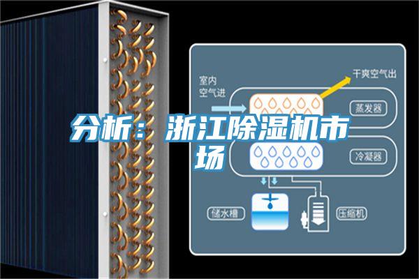 分析:浙江除濕機市場