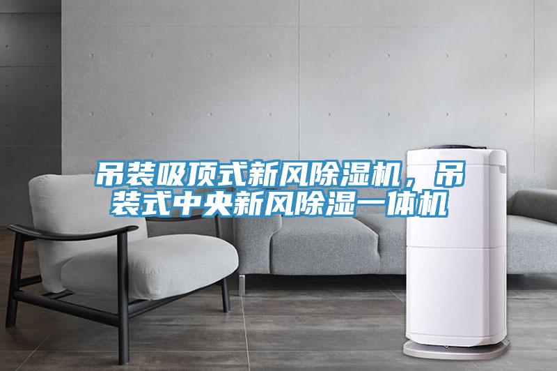 吊裝吸頂式新風除濕機,吊裝式中央新風除濕一體機
