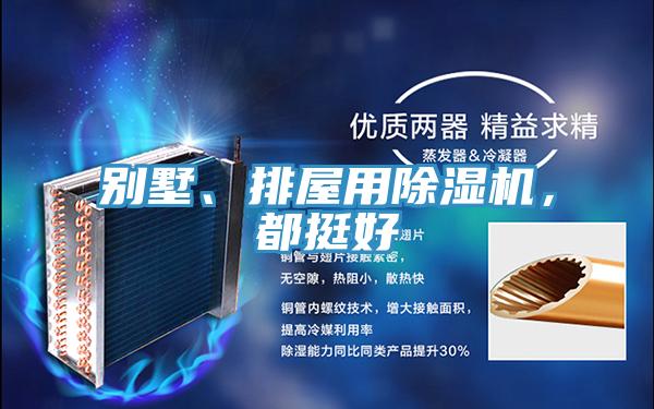 別墅、排屋用除濕機，都挺好
