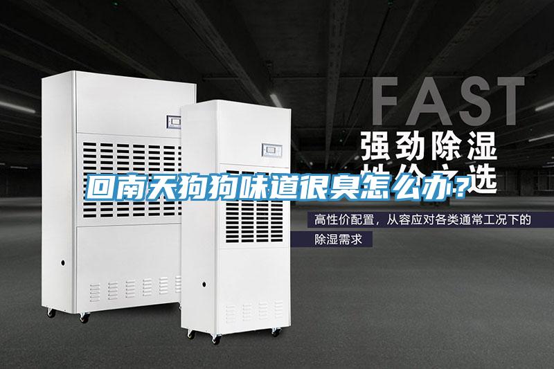 回南天狗狗味道很臭怎么辦？