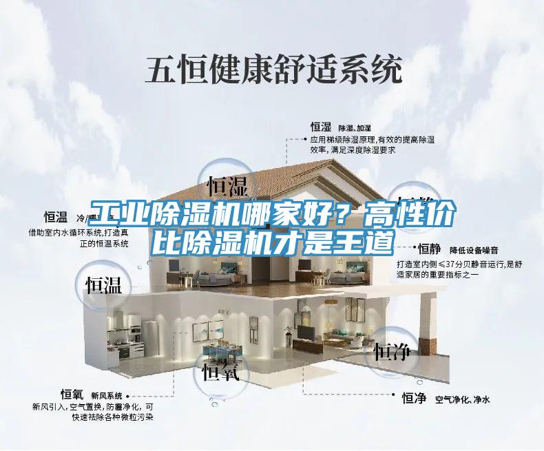 工業除濕機哪家好？高性價比除濕機才是王道