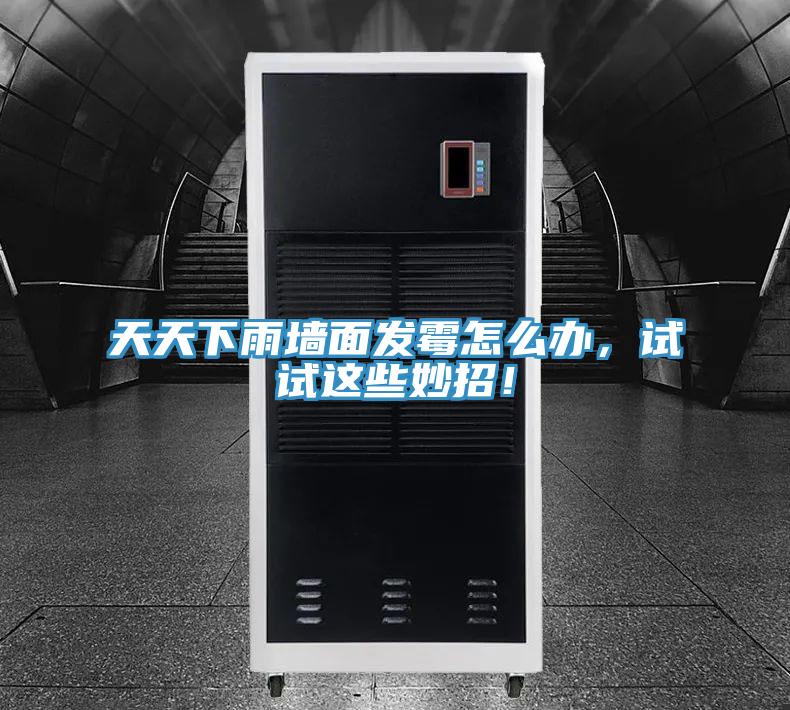 天天下雨墻面發霉怎么辦，試試這些妙招！