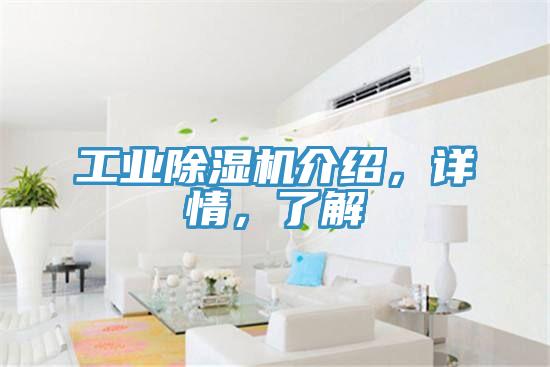 工業除濕機介紹，詳情，了解