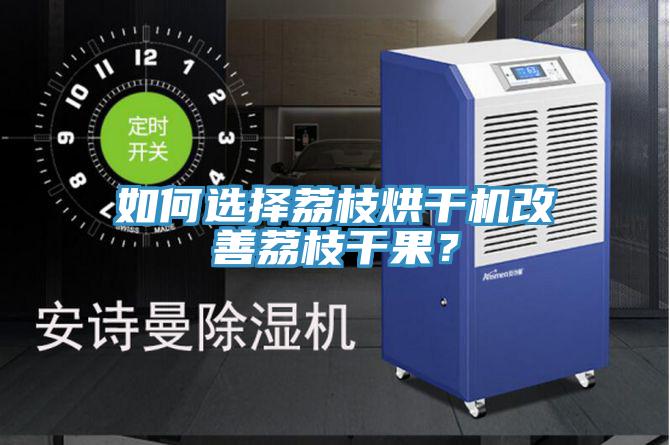 如何選擇荔枝烘干機改善荔枝干果？