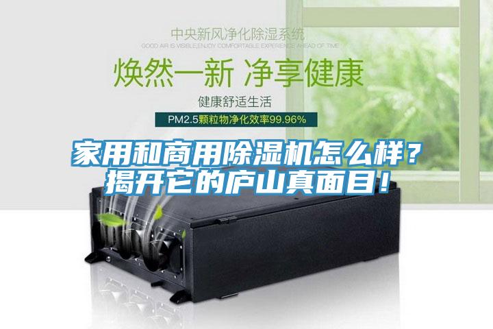 家用和商用除濕機怎么樣?揭開它的廬山真面目!