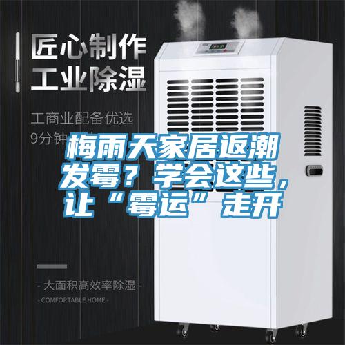 梅雨天家居返潮發霉?學會這些,讓“霉運”走開