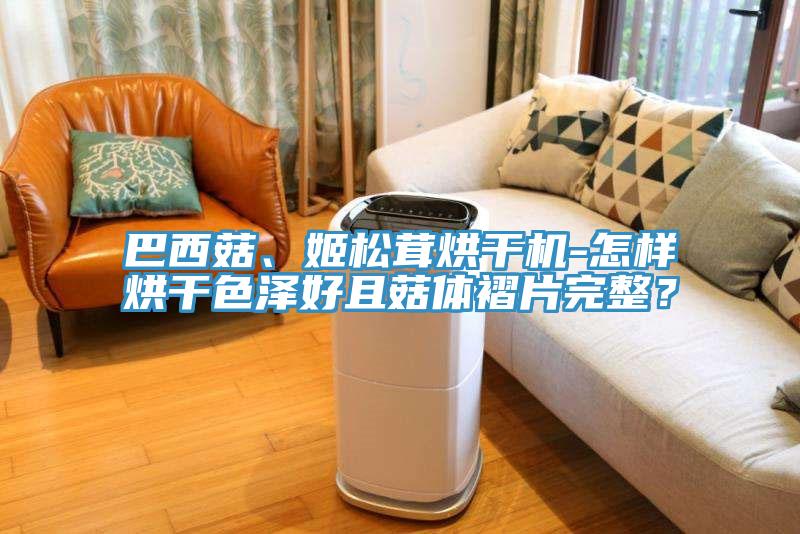 巴西菇、姬松茸烘干機-怎樣烘干色澤好且菇體褶片完整？