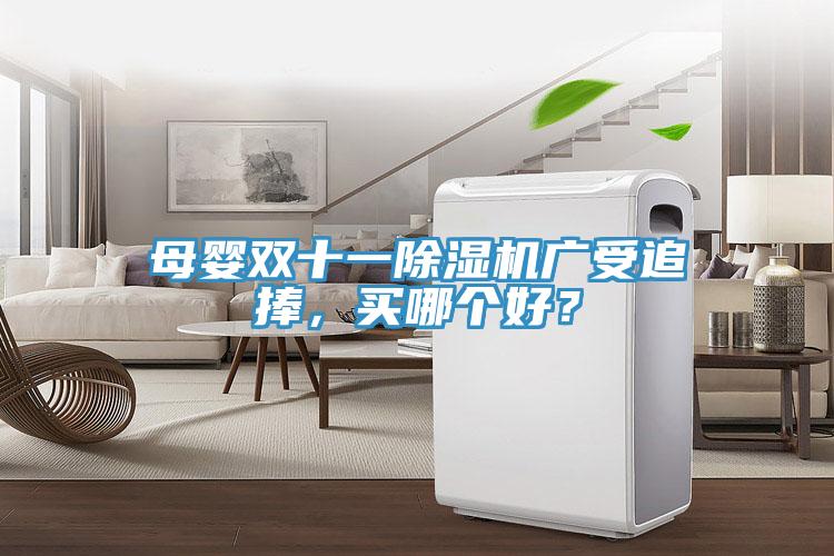 母嬰雙十一除濕機(jī)廣受追捧，買哪個(gè)好？
