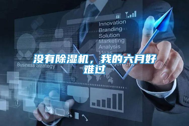 沒(méi)有除濕機(jī)，我的六月好難過(guò)