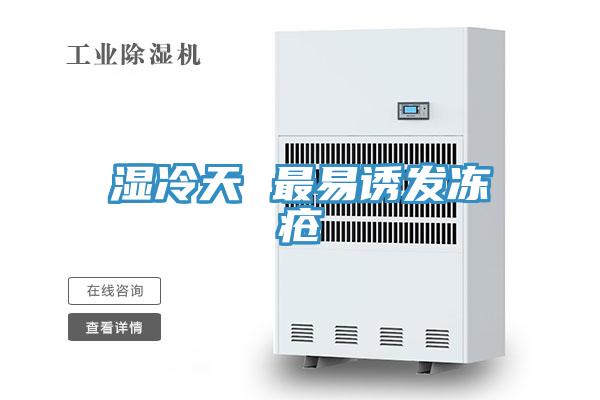 濕冷天 最易誘發凍瘡