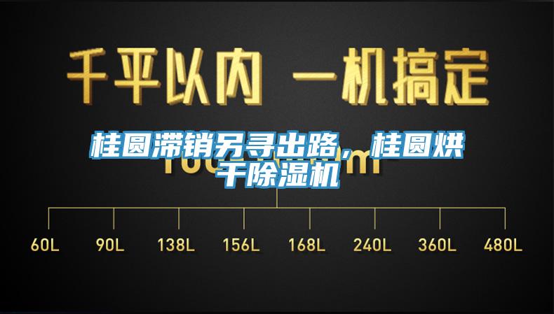 桂圓滯銷另尋出路，桂圓烘干除濕機
