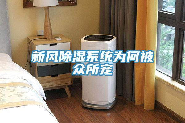 新風除濕系統為何被眾所寵