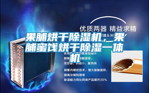 果脯烘干除濕機，果脯蜜餞烘干除濕一體機