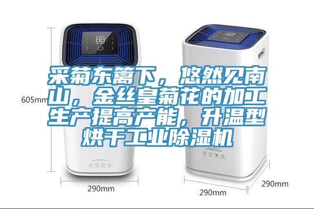 采菊東籬下，悠然見南山，金絲皇菊花的加工生產提高產能，升溫型烘干工業除濕機