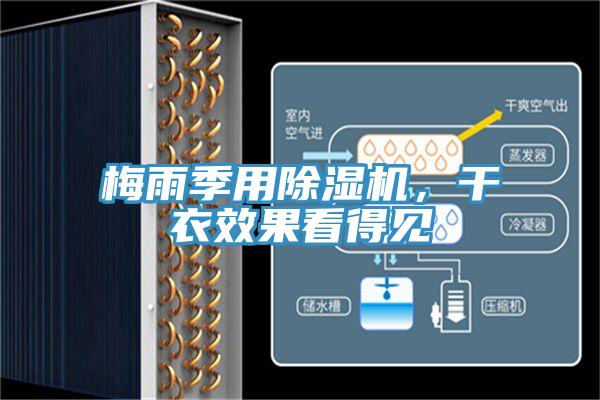 梅雨季用除濕機，干衣效果看得見
