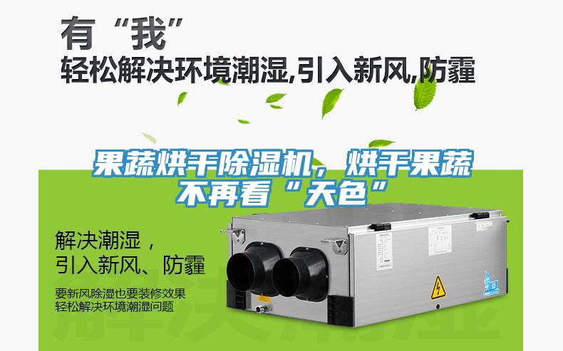 果蔬烘干除濕機，烘干果蔬不再看“天色”