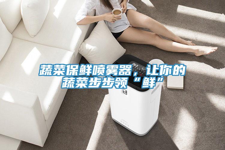 蔬菜保鮮噴霧器，讓你的蔬菜步步領“鮮”