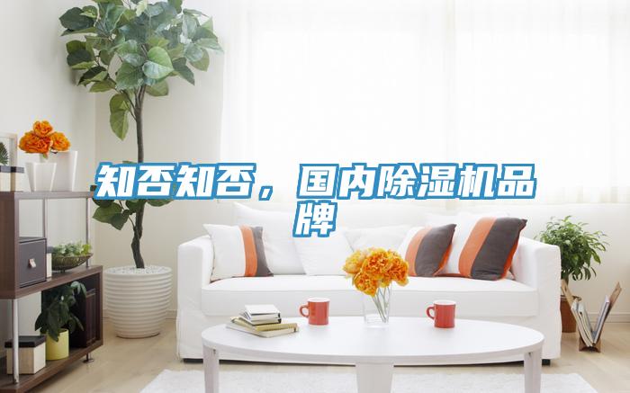 知否知否，國內除濕機品牌