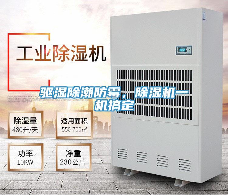 驅濕除潮防霉，除濕機一機搞定