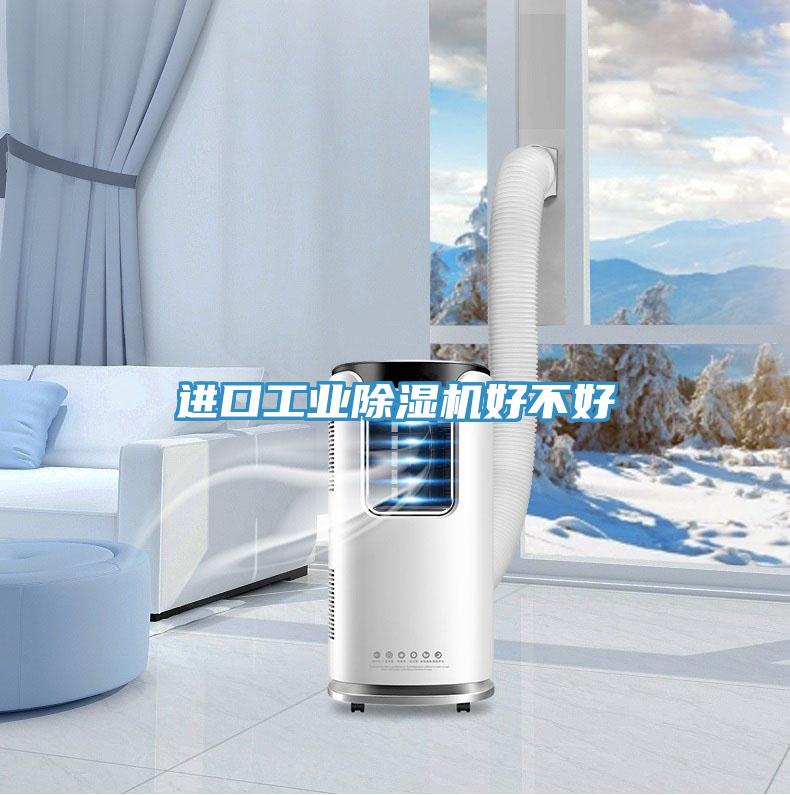 進口工業除濕機好不好