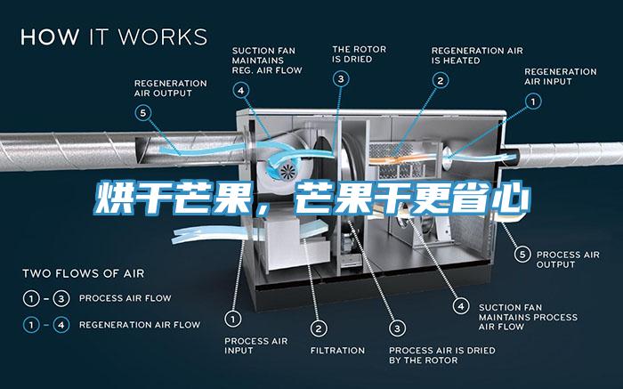 烘干芒果,芒果干更省心