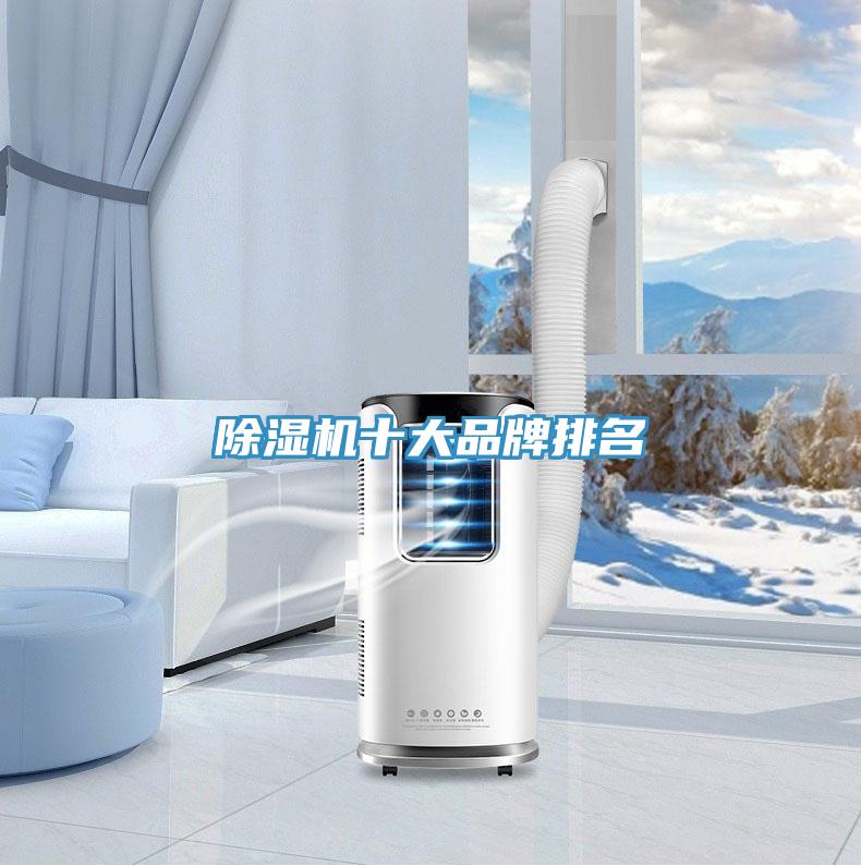 除濕機十大品牌排名