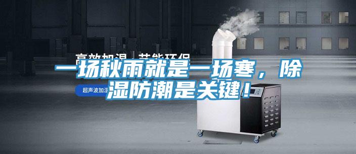 一場秋雨就是一場寒，除濕防潮是關鍵！