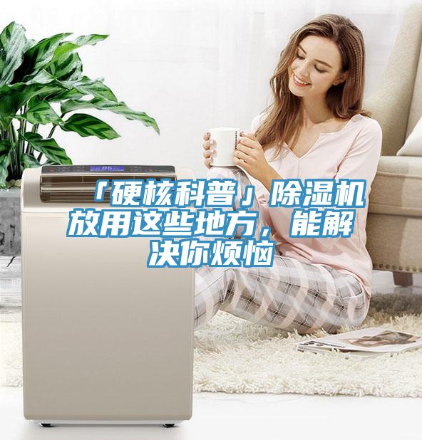 「硬核科普」除濕機放用這些地方，能解決你煩惱