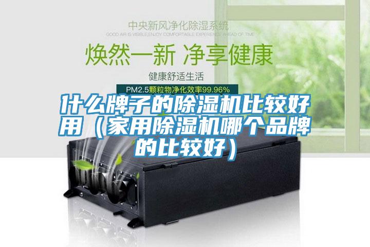 什么牌子的除濕機比較好用(家用除濕機哪個品牌的比較好)