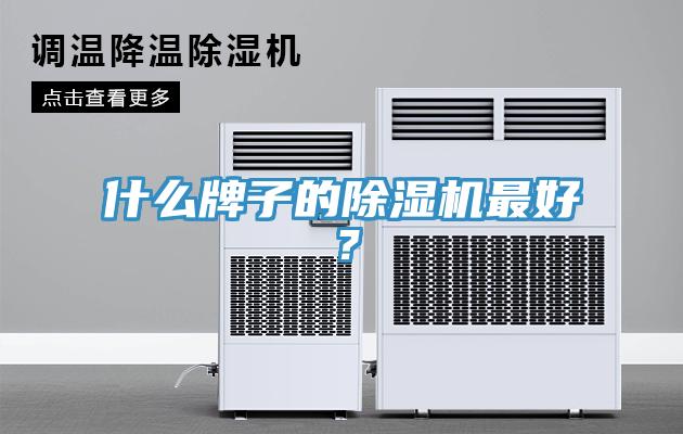 什么牌子的除濕機最好？