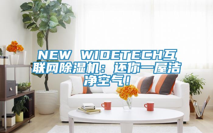 NEW WIDETECH互聯(lián)網(wǎng)除濕機：還你一屋潔凈空氣！