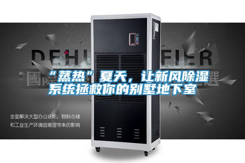 “蒸熱”夏天，讓新風除濕系統拯救你的別墅地下室