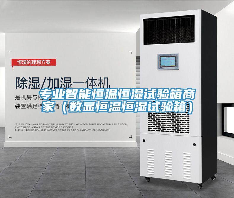 專業智能恒溫恒濕試驗箱商家（數顯恒溫恒濕試驗箱）