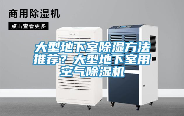 大型地下室除濕方法推薦？大型地下室用空氣除濕機