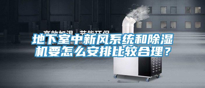 地下室中新風系統和除濕機要怎么安排比較合理？