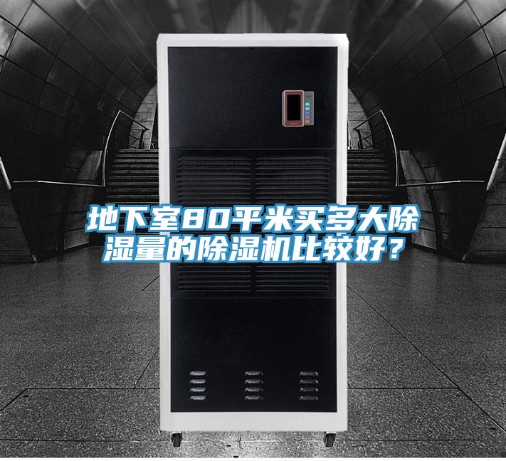 地下室80平米買多大除濕量的除濕機比較好？