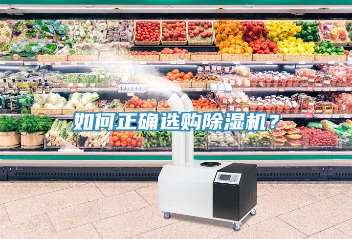 如何正確選購除濕機？