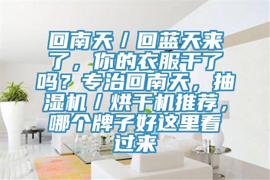 回南天／回藍天來了，你的衣服干了嗎？專治回南天，抽濕機／烘干機推薦，哪個牌子好這里看過來