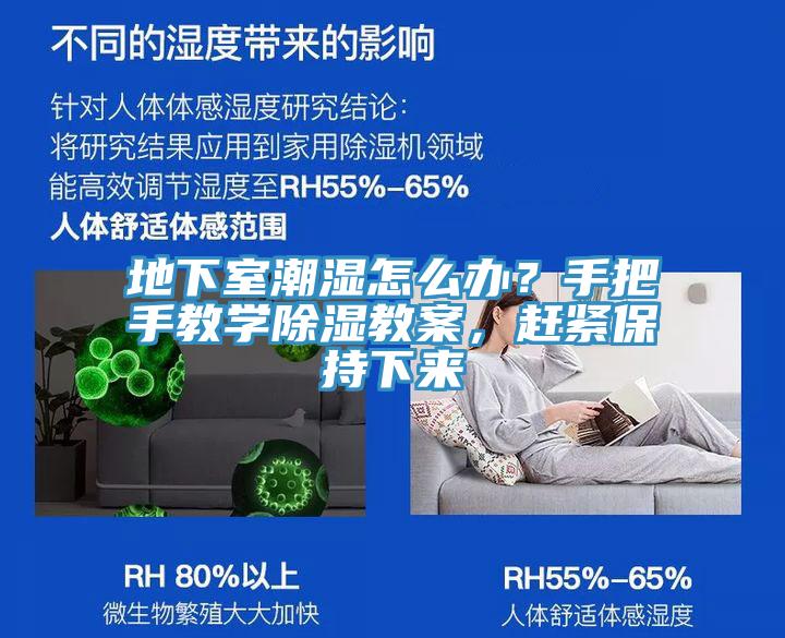 地下室潮濕怎么辦？手把手教學除濕教案，趕緊保持下來
