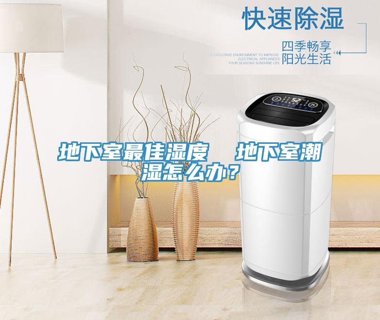 地下室最佳濕度 地下室潮濕怎么辦?