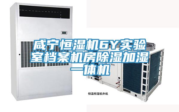 咸寧恒濕機6Y實驗室檔案機房除濕加濕一體機